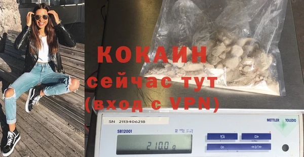ALPHA PVP Богородицк